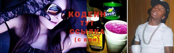 прущие грибы Дмитровск