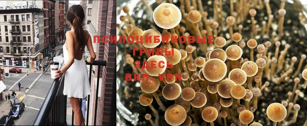 наркотики Алексеевка