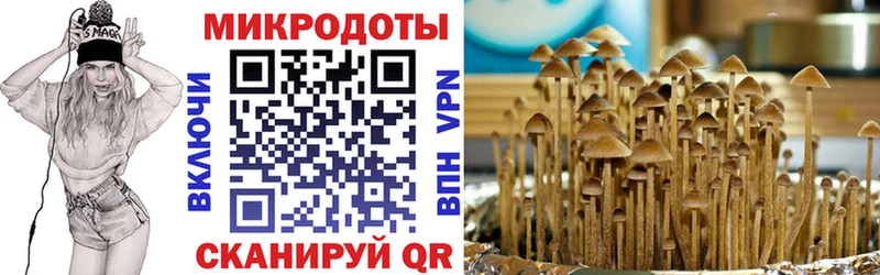 Галлюциногенные грибы мицелий сколько стоит Сосновка